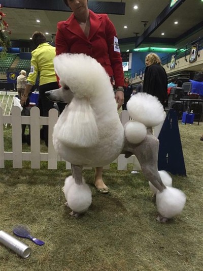 Elan at PCA